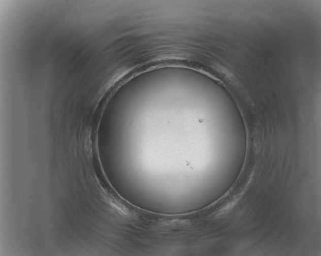 X0000059811113200511041646