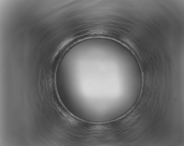 X0000059811115200511041646