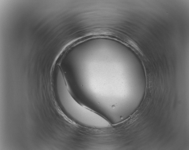 X0000059811116200511041646