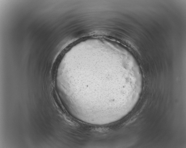 X0000059811117200511041646