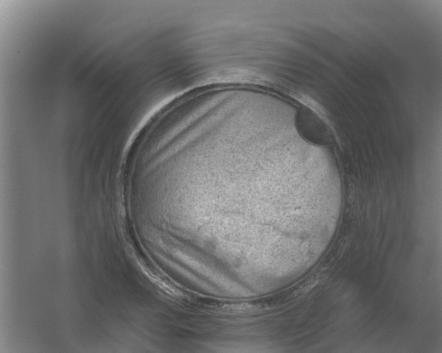 X0000059811120200511041646