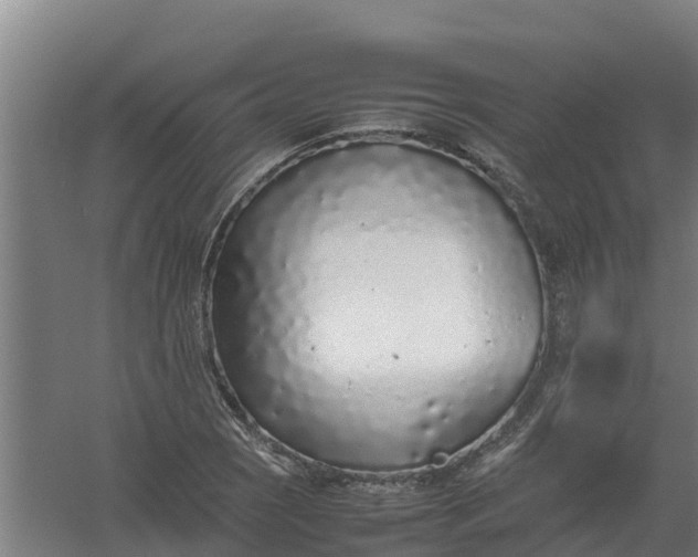 X0000059811121200511041646