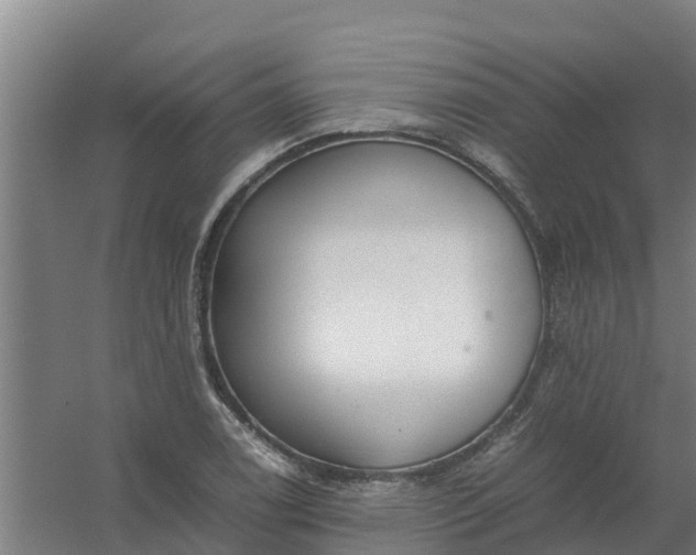 X0000059811122200511041646