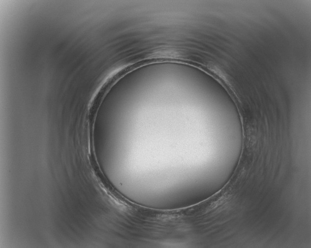 X0000059811123200511041646