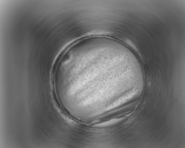 X0000059811124200511041646