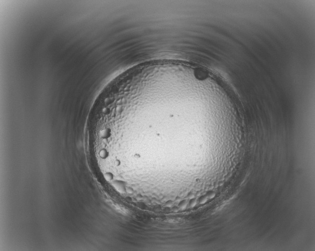 X0000059811125200511041646