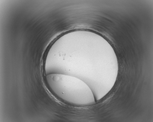 X0000059811126200511041646