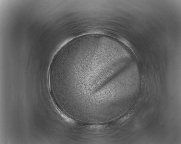 X0000059811127200511041646