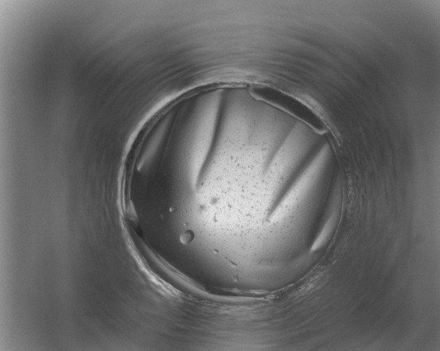 X0000059811128200511041646