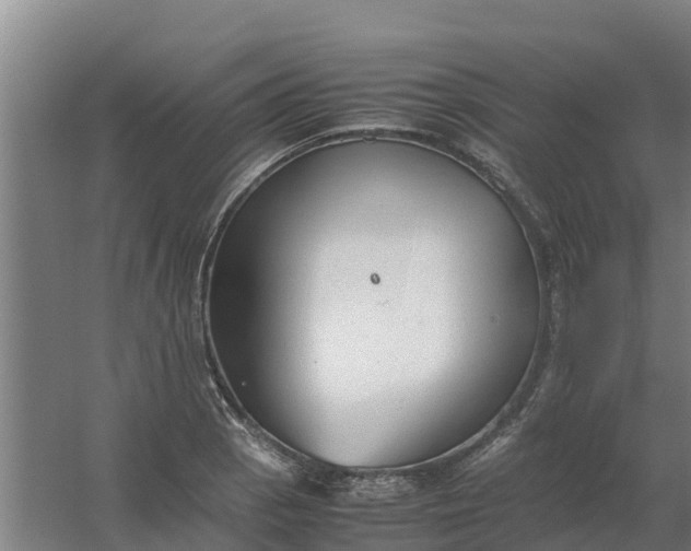 X0000059811129200511041646