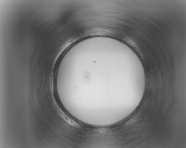 X0000059811130200511041646