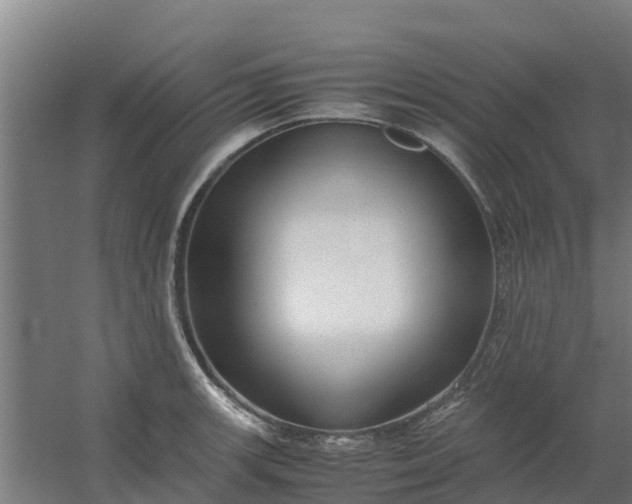 X0000059811139200511041647