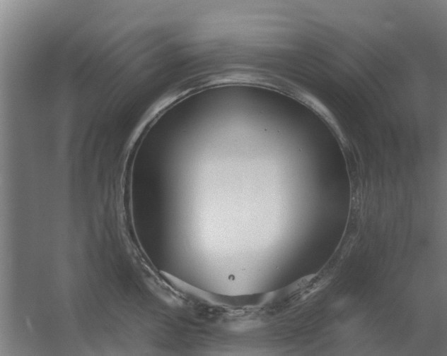 X0000059811146200511041647