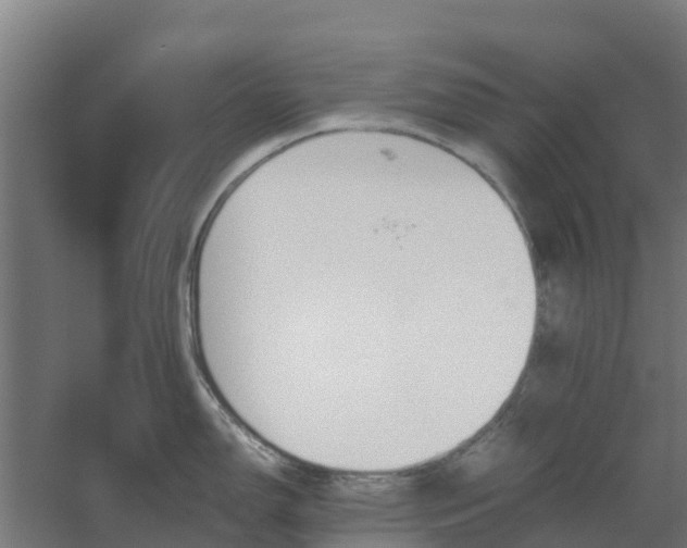 X0000059811150200511041647