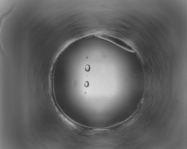 X0000059811151200511041647