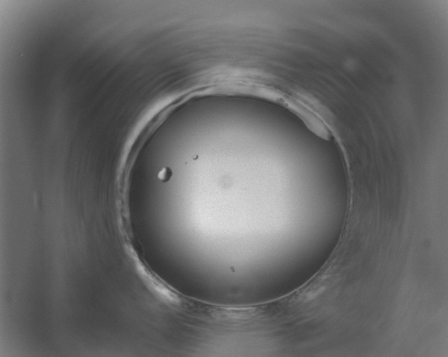 X0000059811152200511041647