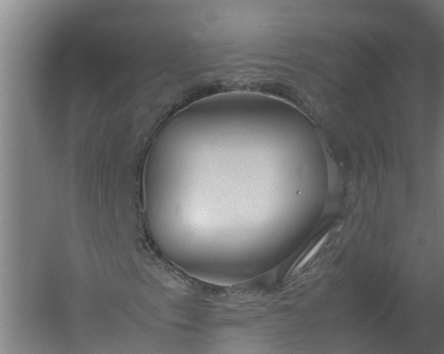 X0000059811153200511041646