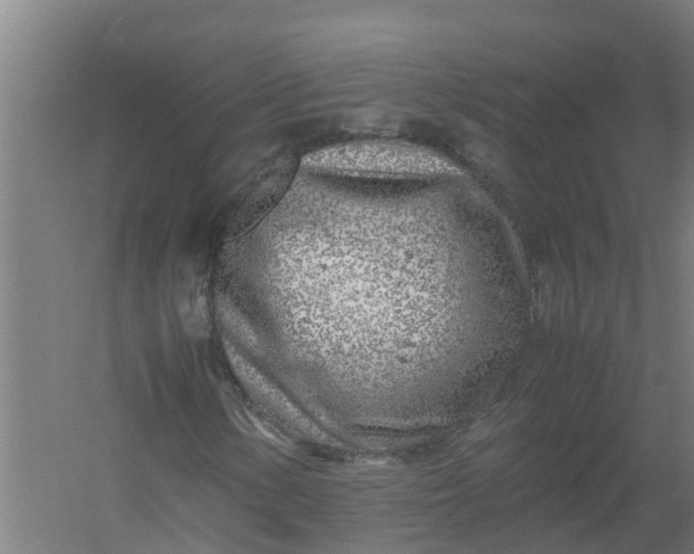 X0000059811154200511041646