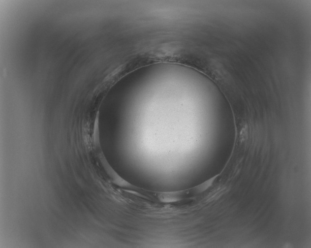 X0000059811156200511041646