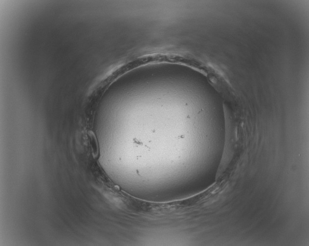 X0000059811159200511041646