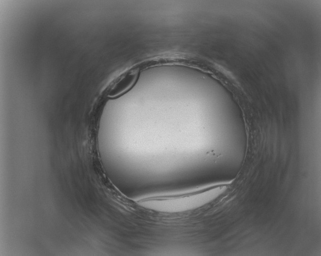 X0000059811160200511041646