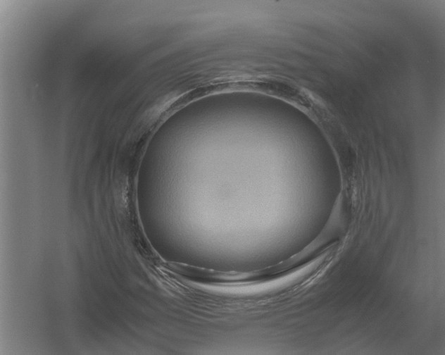 X0000059811161200511041646