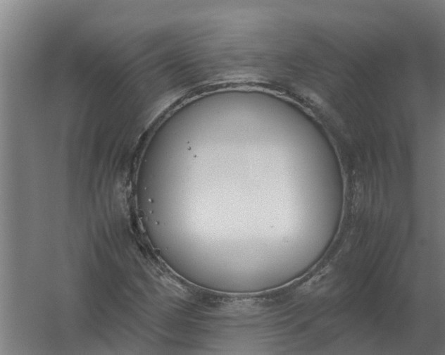 X0000059811162200511041646