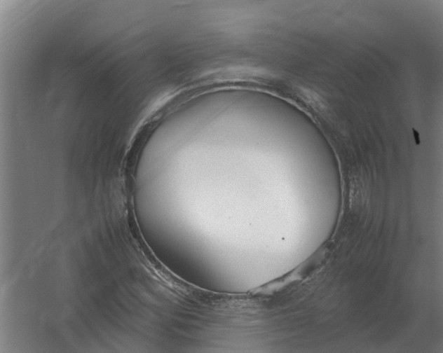 X0000059811164200511041646