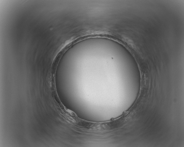 X0000059811165200511041646