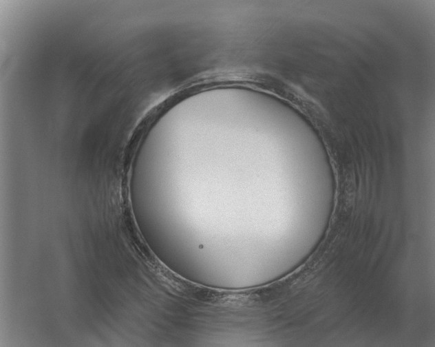 X0000059811166200511041646