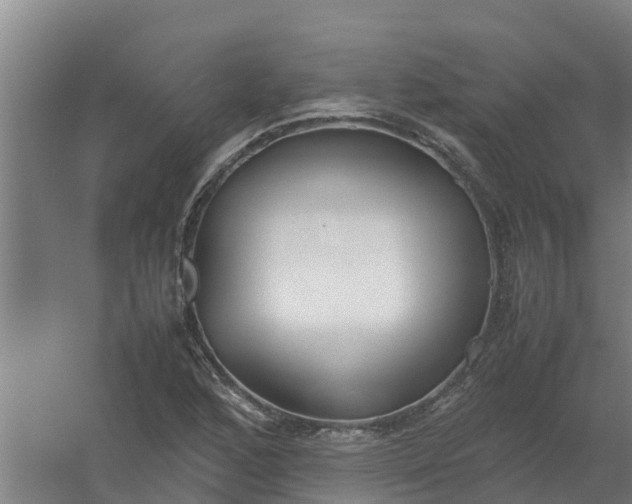 X0000059811168200511041646