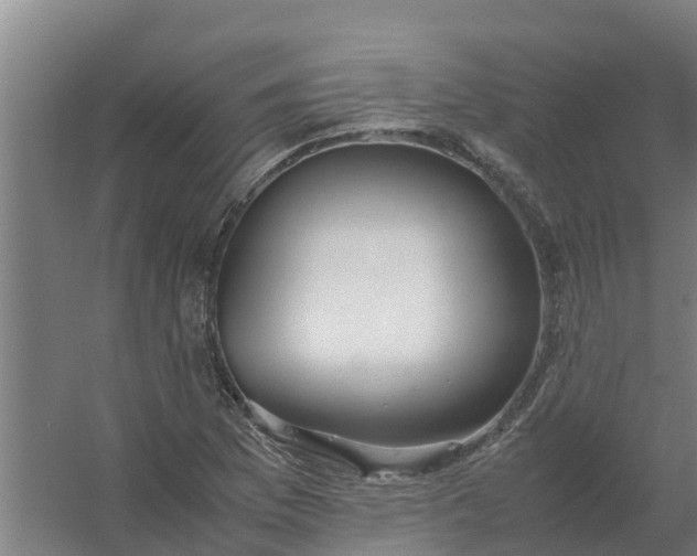 X0000059811169200511041646