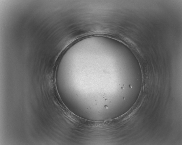 X0000059811170200511041646