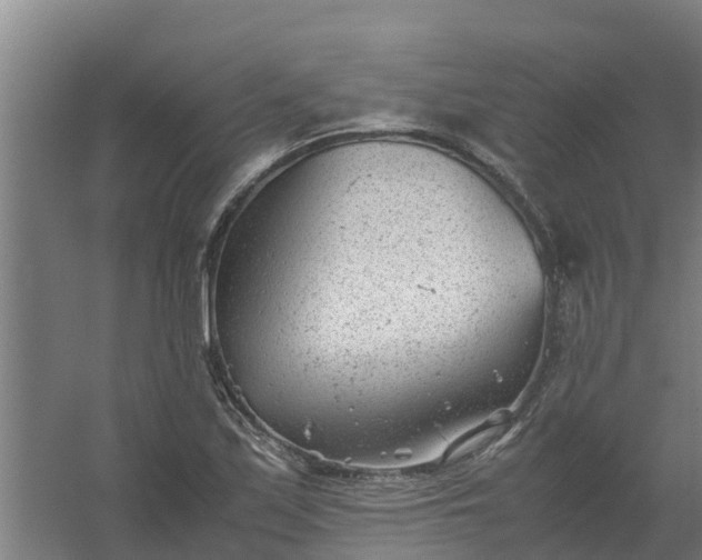 X0000059811171200511041646