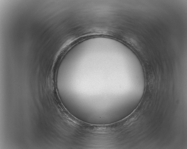 X0000059811172200511041646