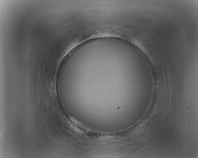 X0000059811173200511041646