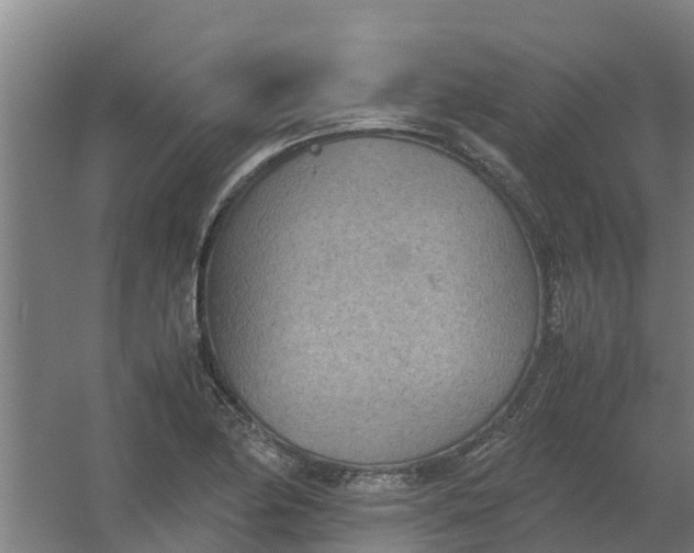 X0000059811174200511041646