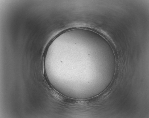 X0000059811175200511041646