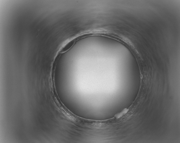 X0000059811176200511041646