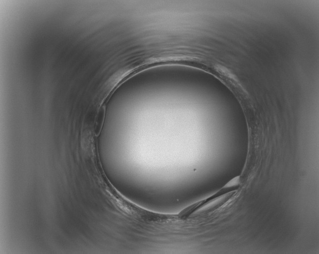 X0000059811177200511041646