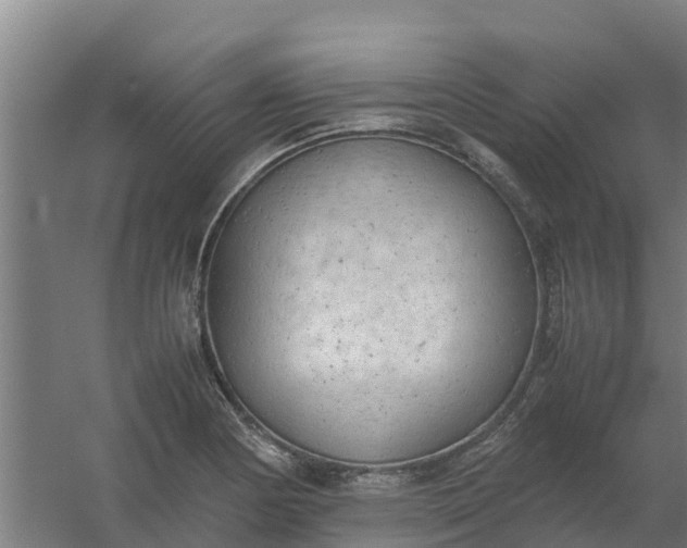 X0000059811178200511041646