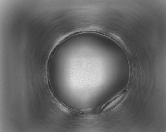 X0000059811184200511041645