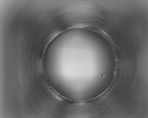 X0000059811186200511041645