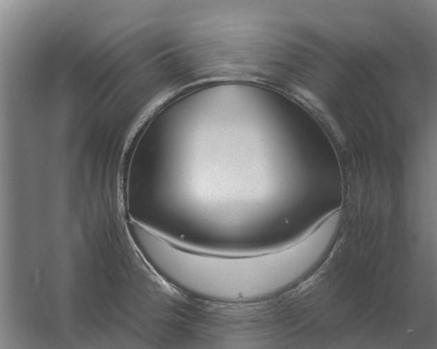 X0000059811188200511041645