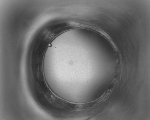 X0000059811199200511041645