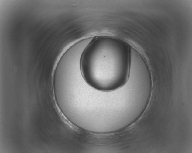 X0000059811200200511041645