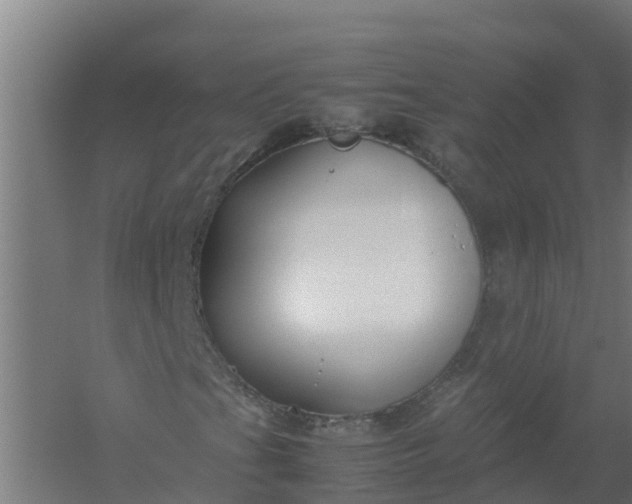 X0000059811201200511041644