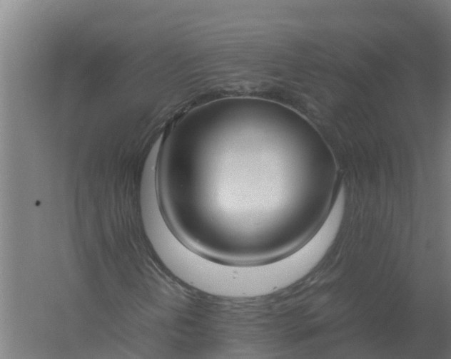 X0000059811202200511041644