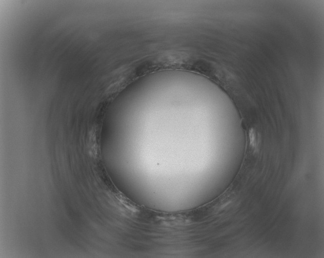 X0000059811203200511041644