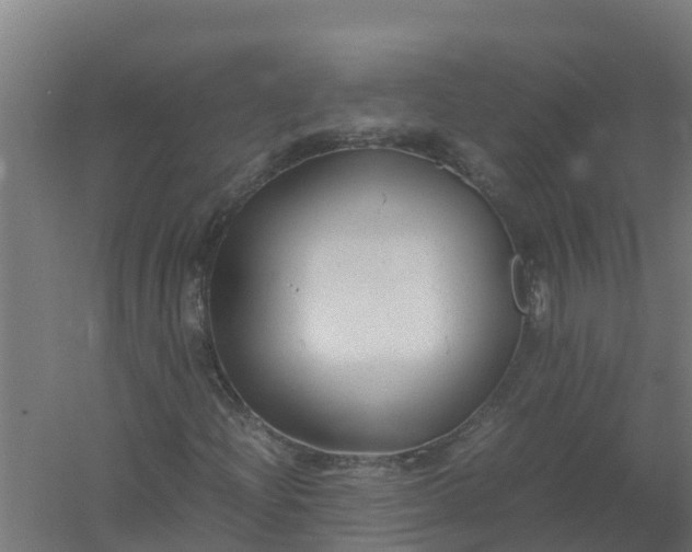 X0000059811204200511041644